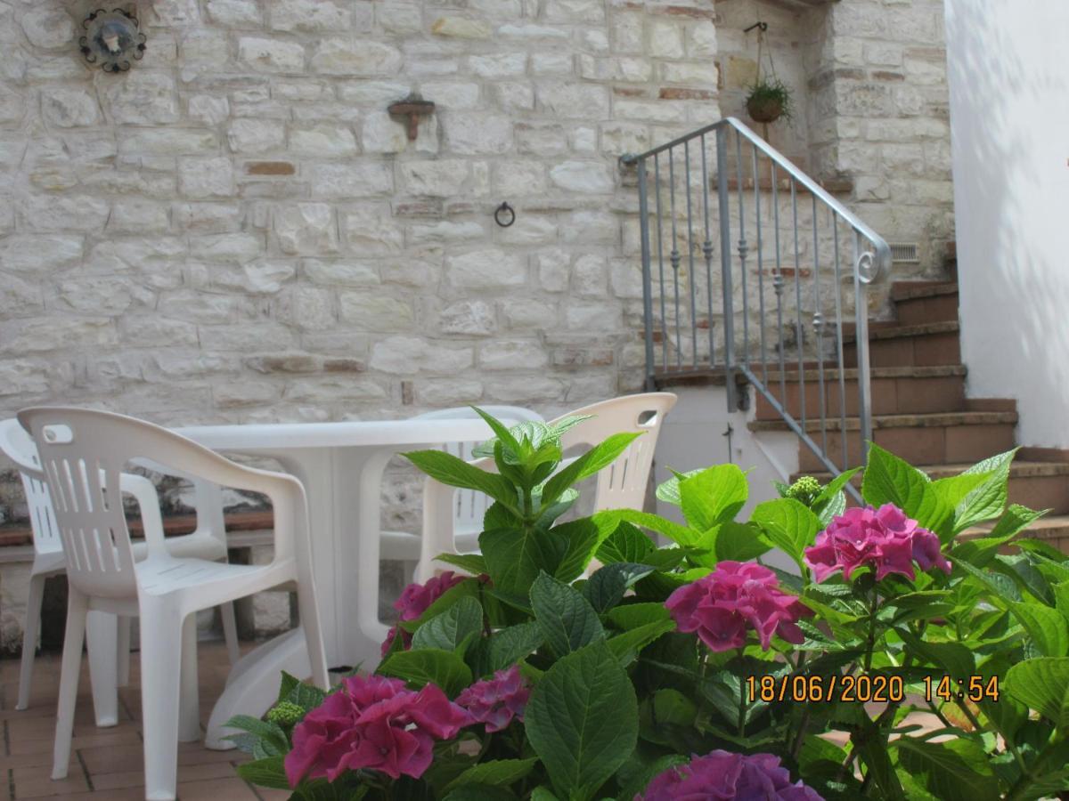 B&B Capo Le Vigne Sirolo Exterior foto